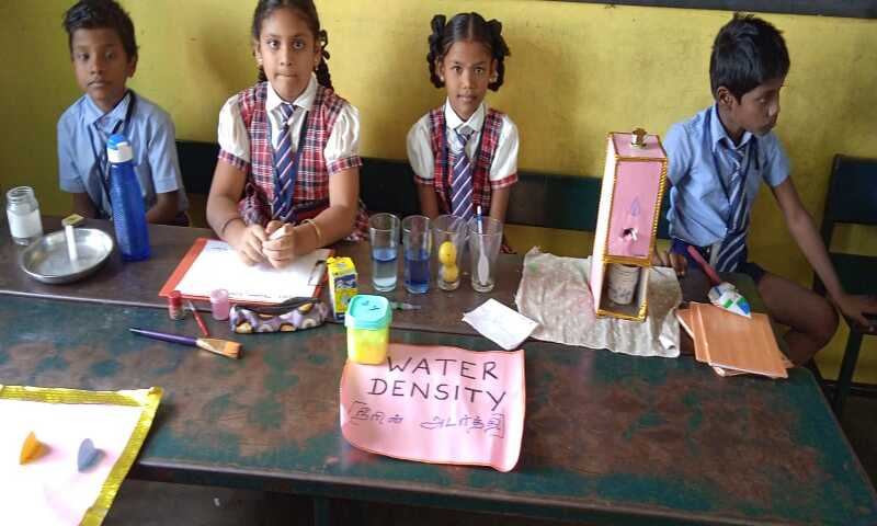 Science Expo 7